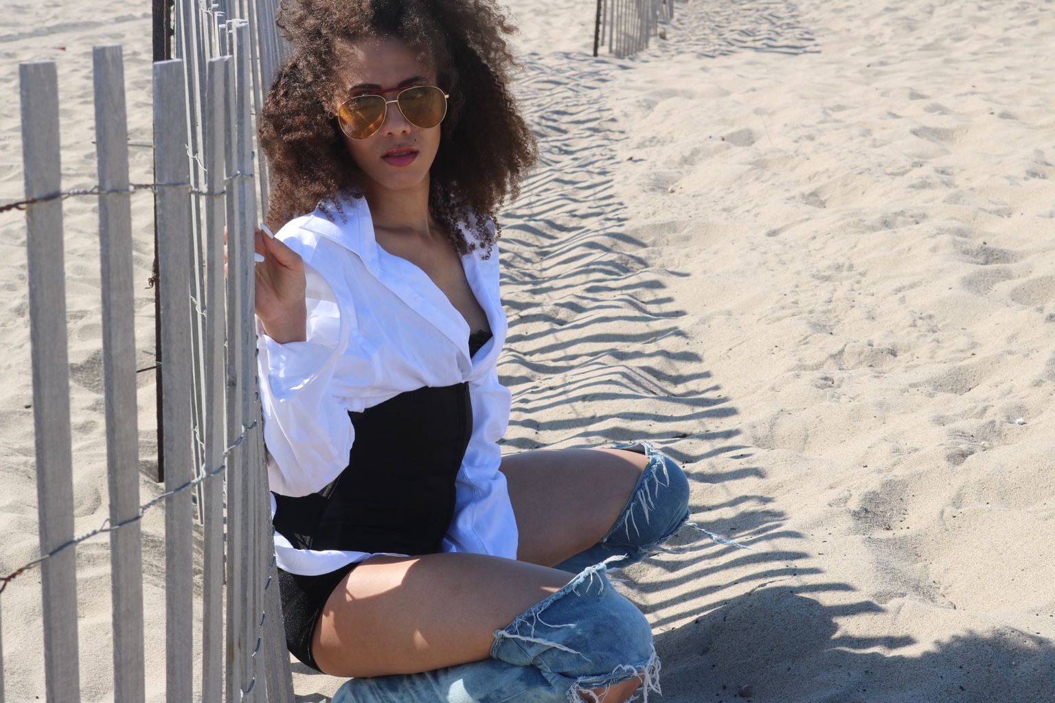 IREIGN relaxing on a California beach beside a wooden fence